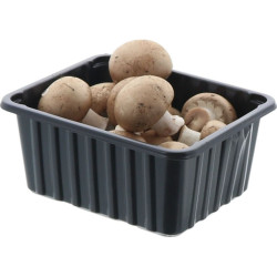 BIO CHAMPIGNON BRUN 6X250G